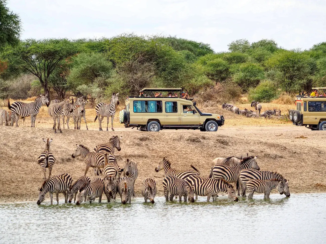 4 Days Southern Tanzania Safari Ways African Safaris