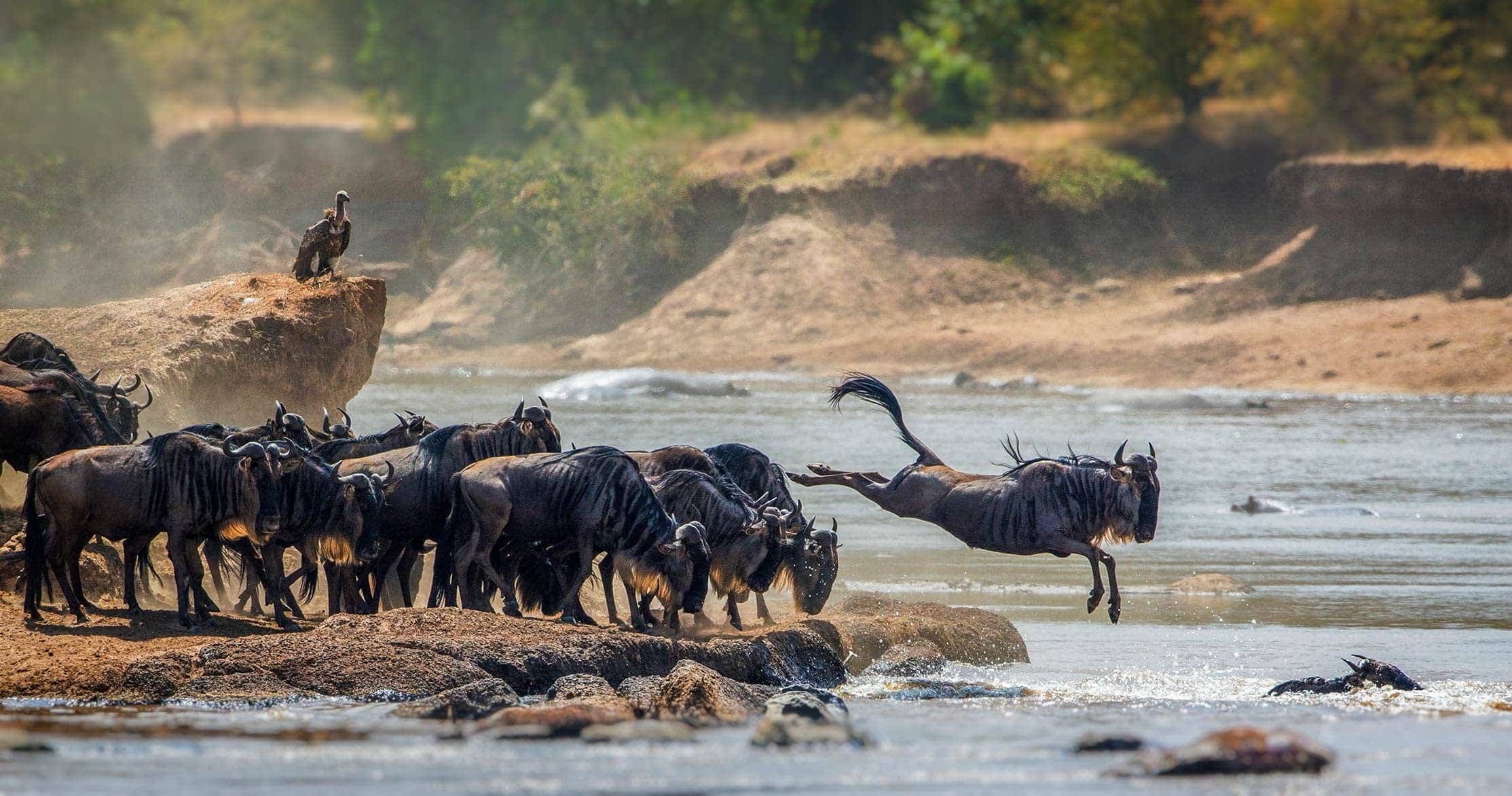 Best Place to Visit in Africa Serengeti National Park