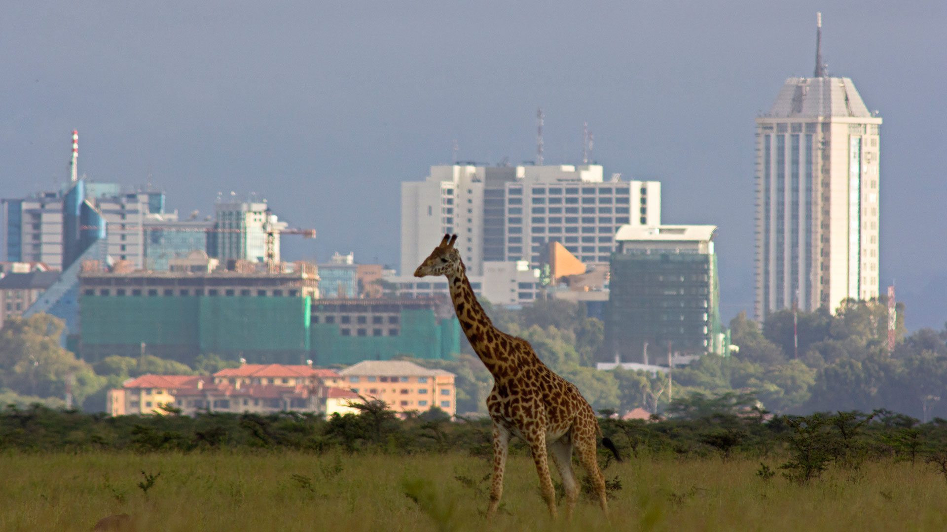 Kenya Ways African Safaris