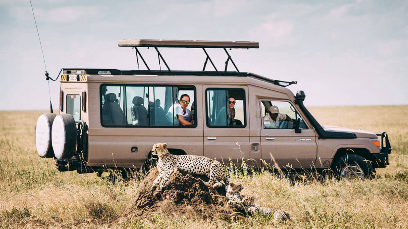 About Ways African Safaris