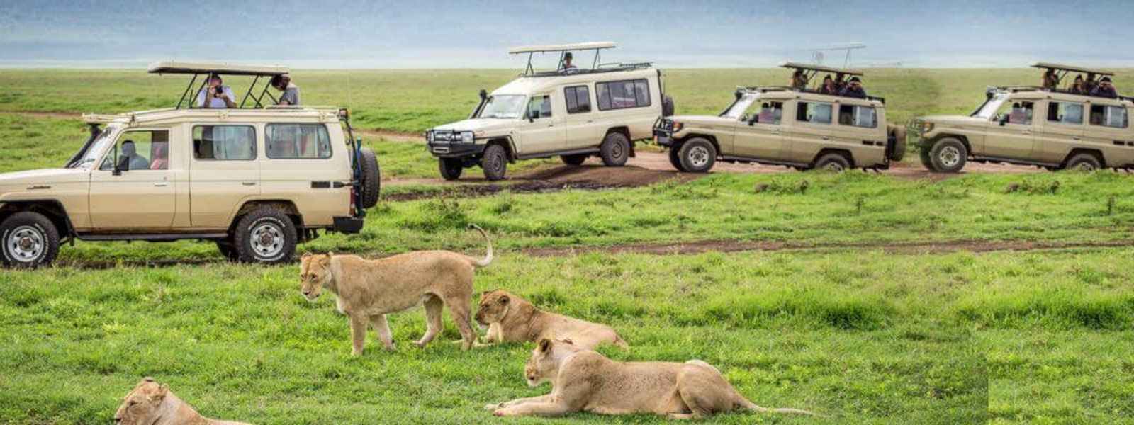 How to Book a Tanzania Safari