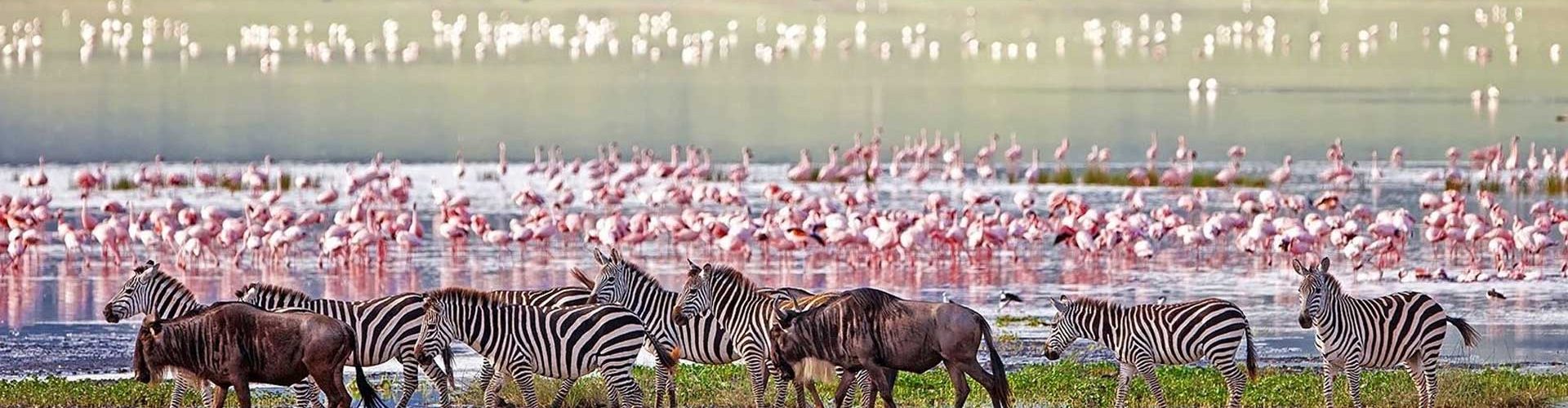 Lake Manyara National Park Ways African Safaris