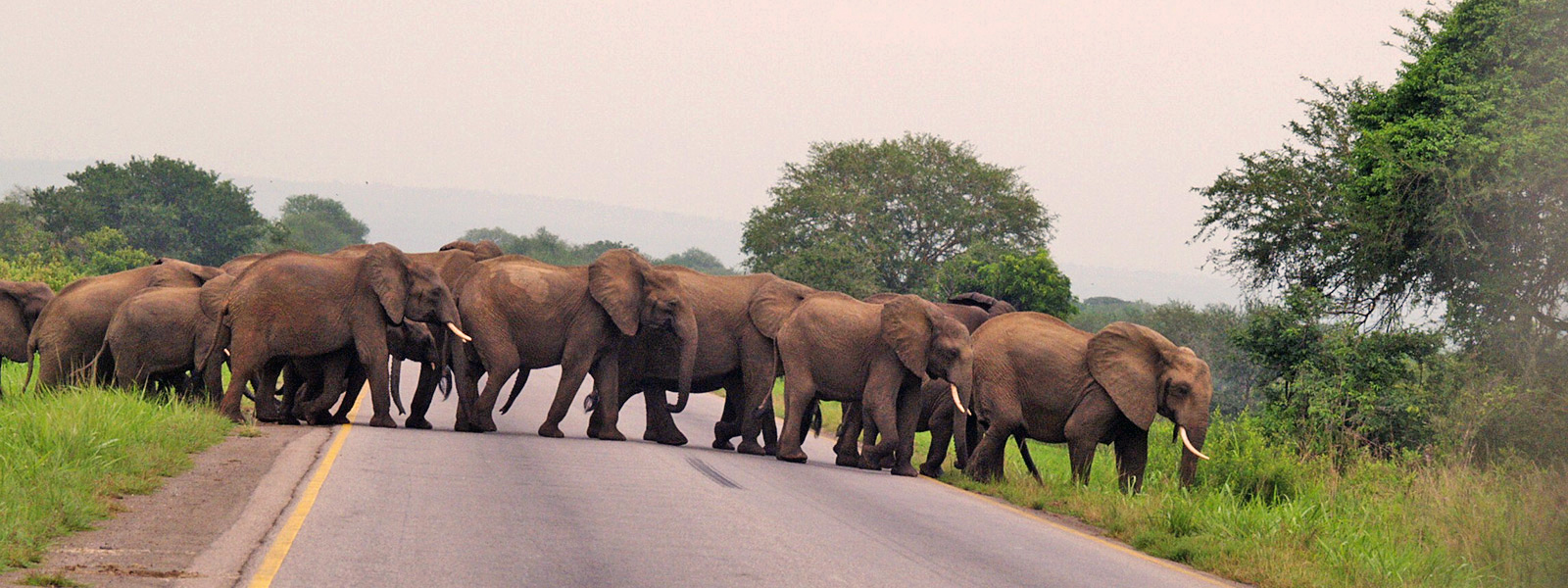 Mikumi National Park