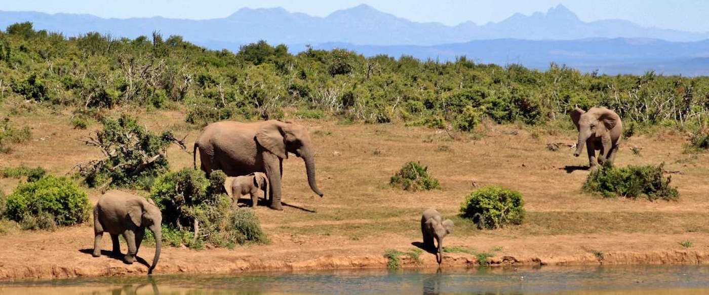 Mikumi National Park