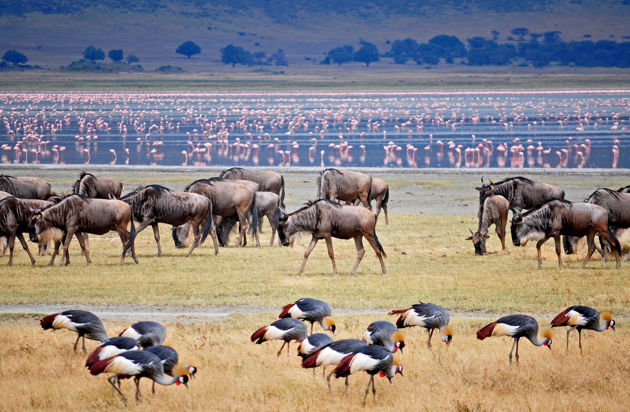 Tarangire National Park 