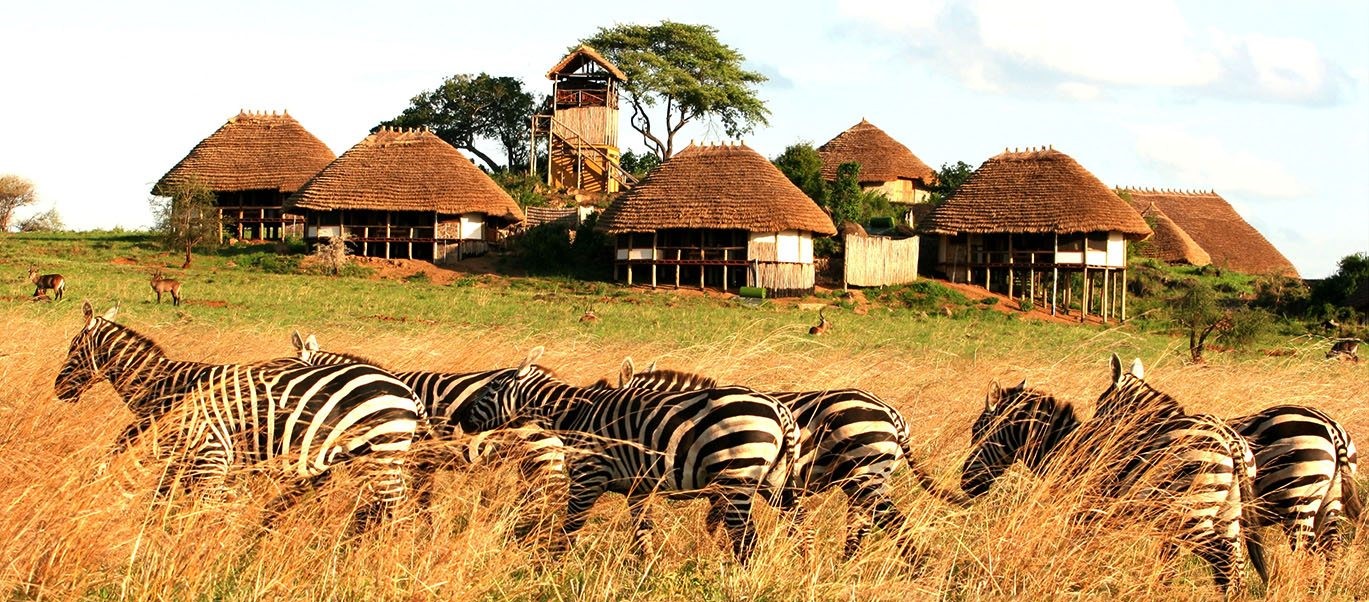 Uganda Safaris Ways African Safaris