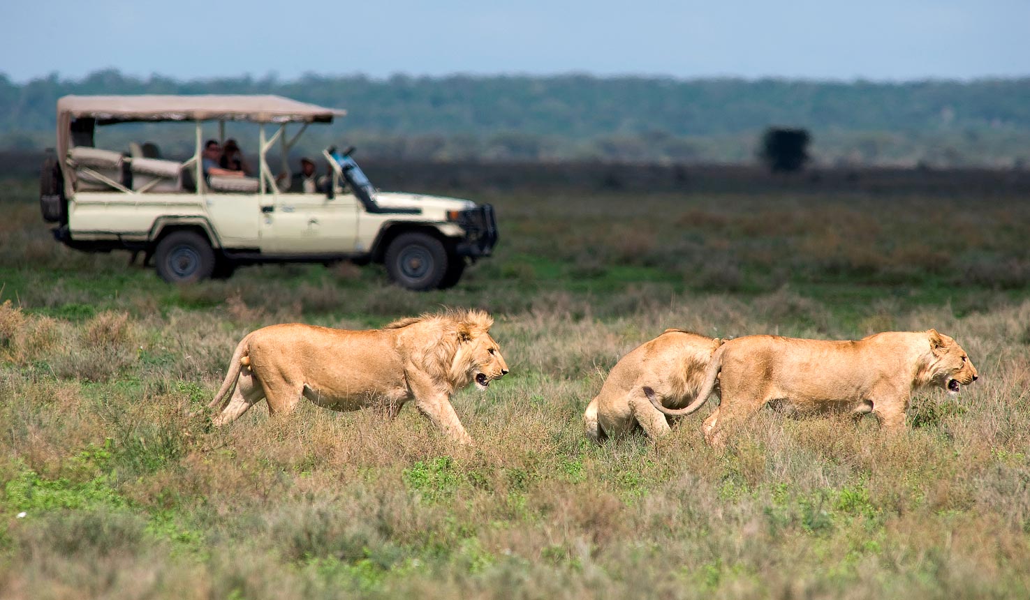 When is the best time to visit Tanzania Ways African Safaris