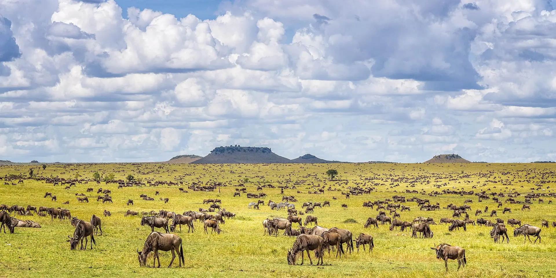 When is the best time to visit Tanzania