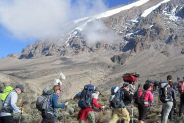 11 Days Kilimanjaro Climbing and Safari