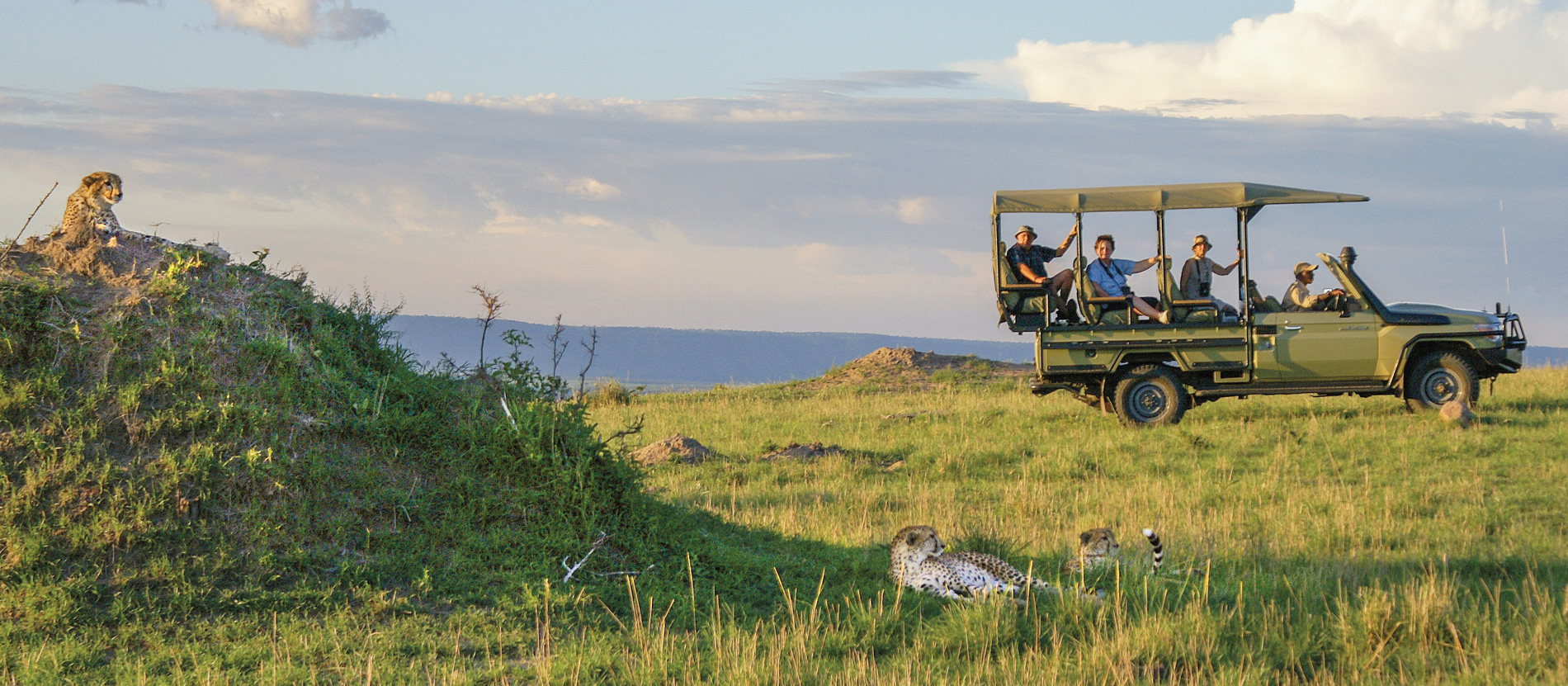 2-Day Mikumi Safari from Zanzibar