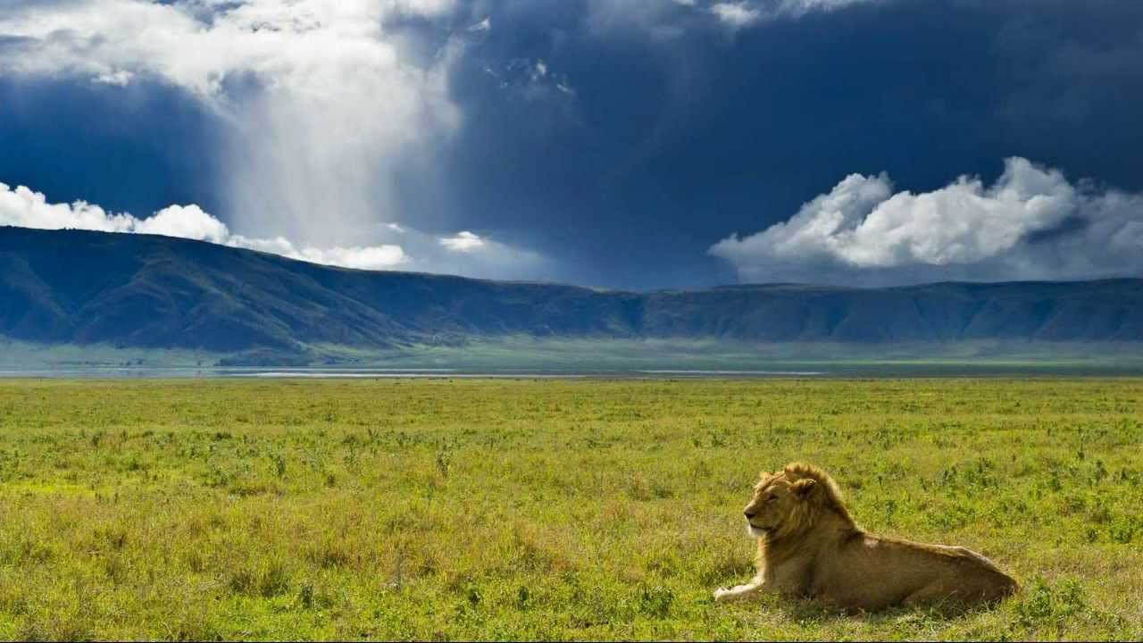 2 Days Safari from Zanzibar Tarangire Ngorongoro Crater Ways African Safaris