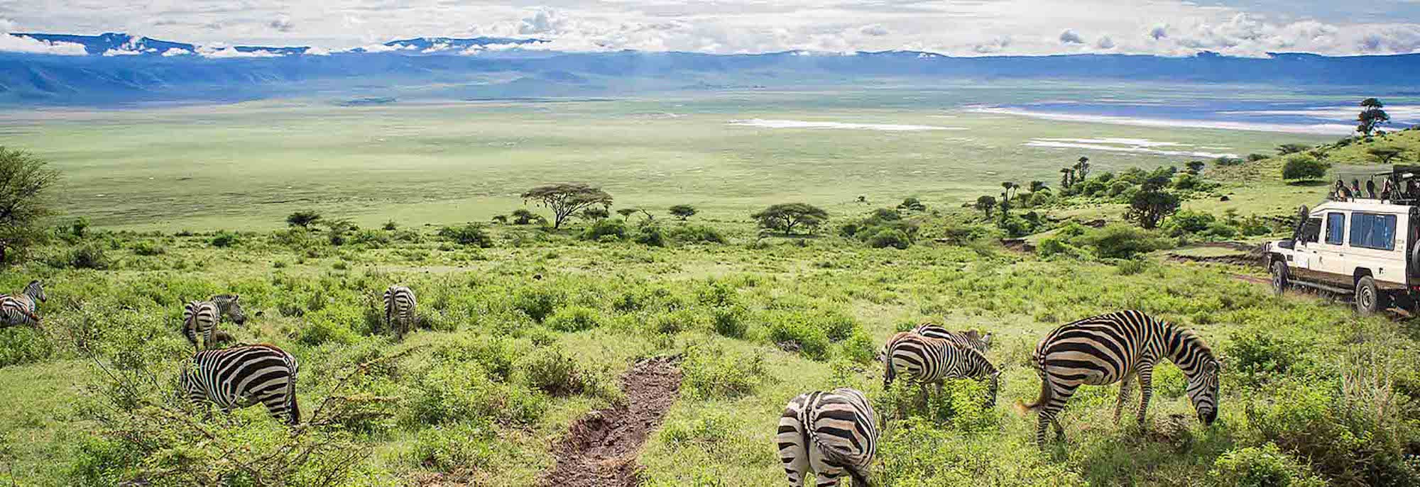 2 Days Safari from Zanzibar: Tarangire & Ngorongoro Crater