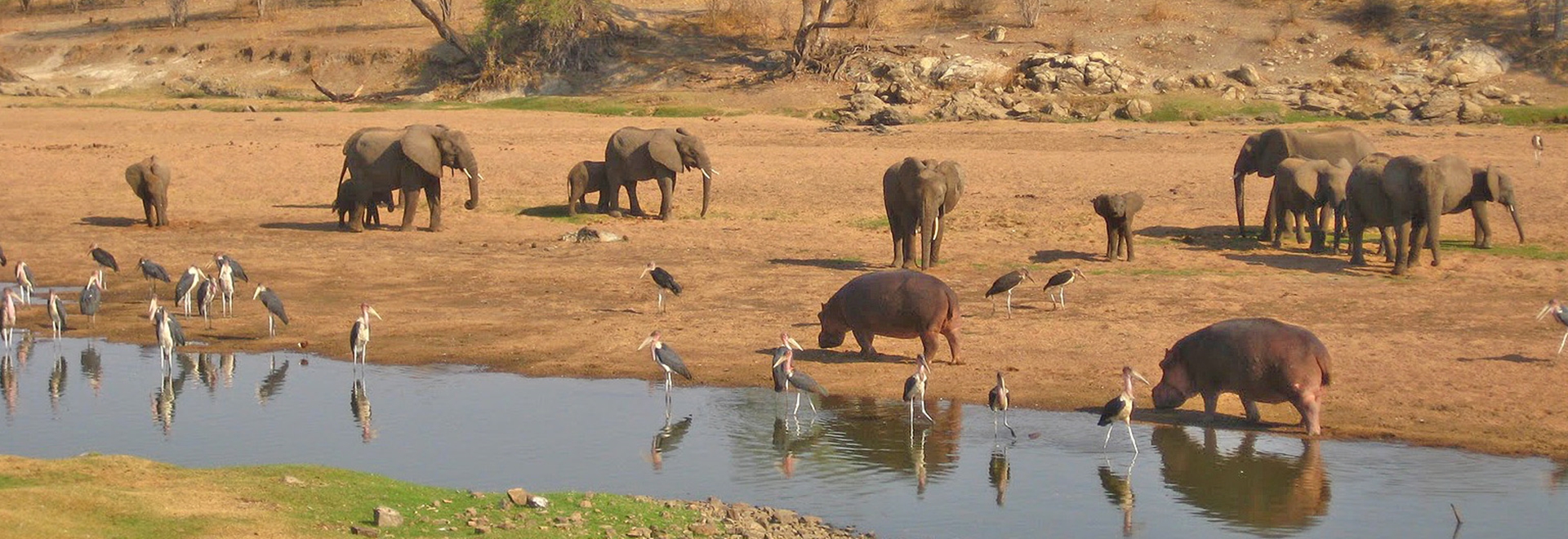 3 Day Nyerere SELOUS Safari from Dar Es Salaam