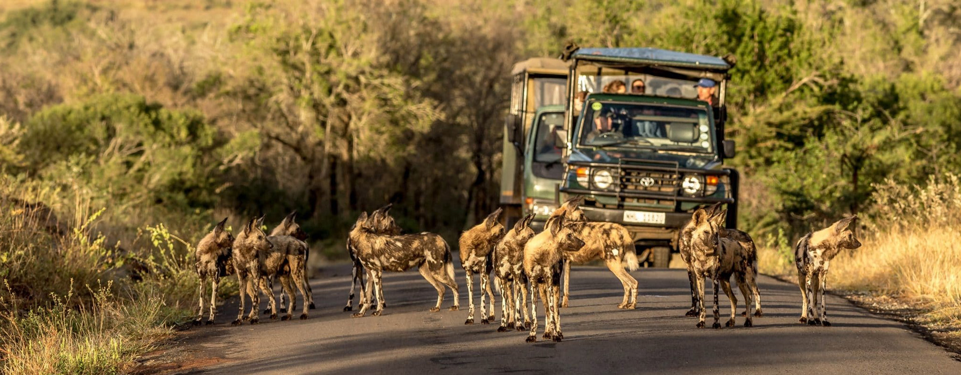 3 Days Selous Safari (Nyerere National Park) From Zanzibar