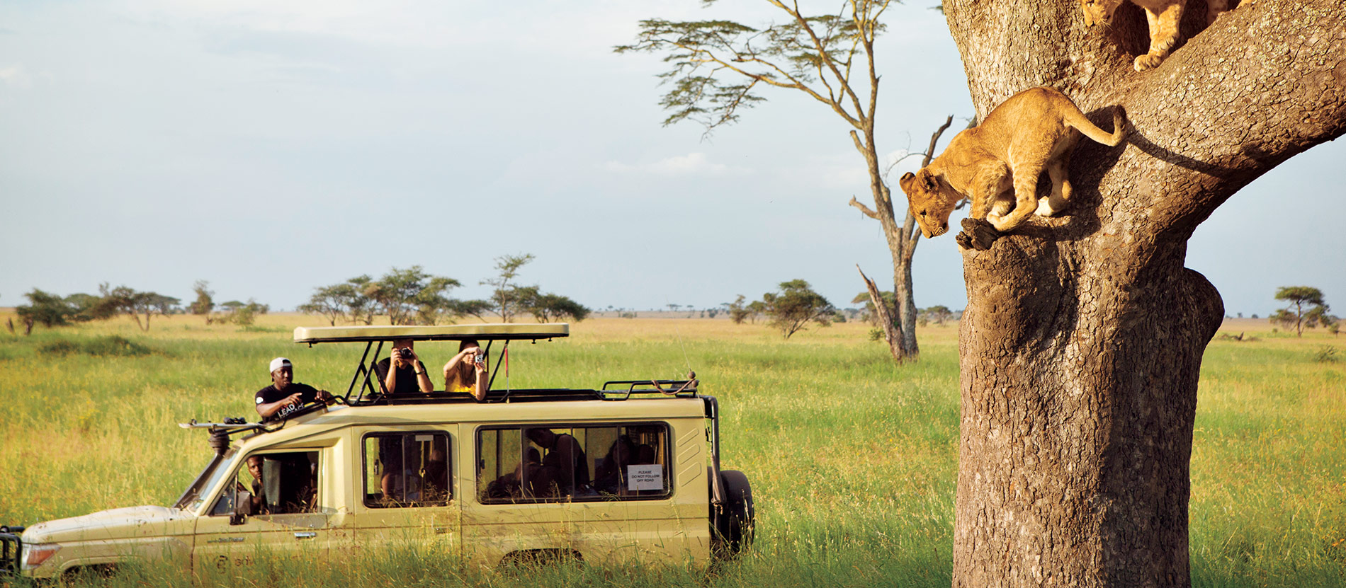 6-Day Southern Tanzania Safari: Mikumi, Ruaha & Udzungwa