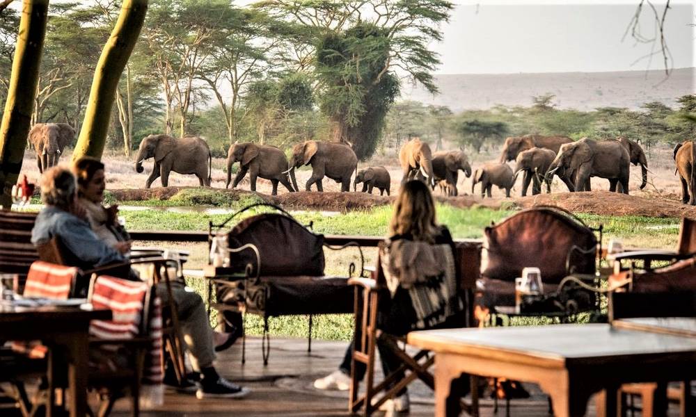 7-Day Kenya and Tanzania Safari 