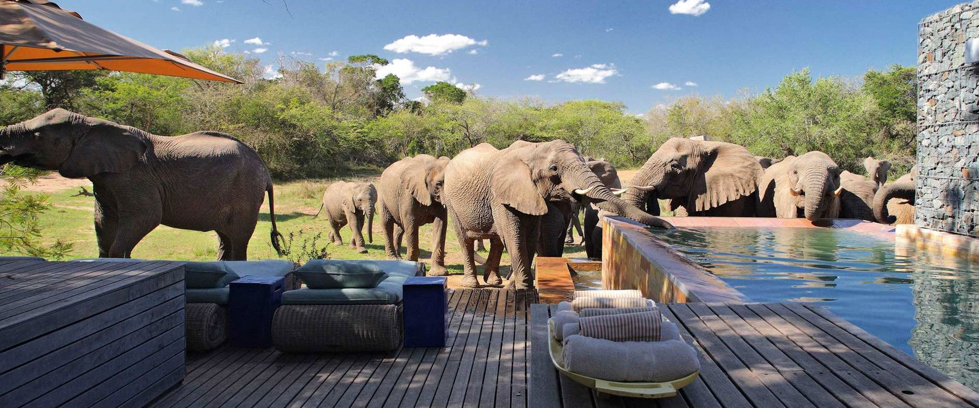 Best Luxury African Safaris & Private Tours Cost 2025 2026 Tanzania