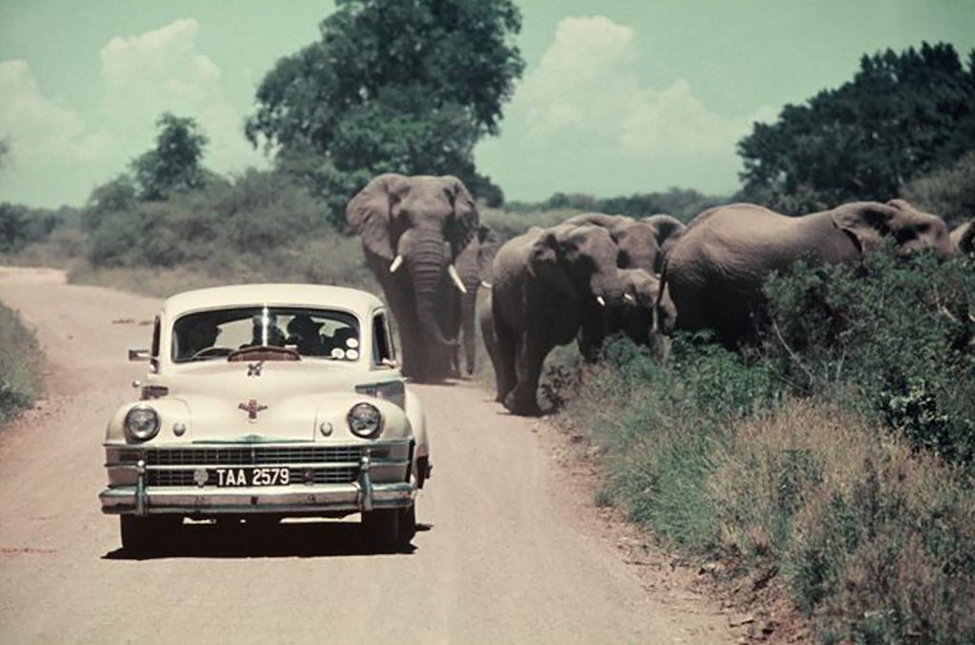 History of the African Safari