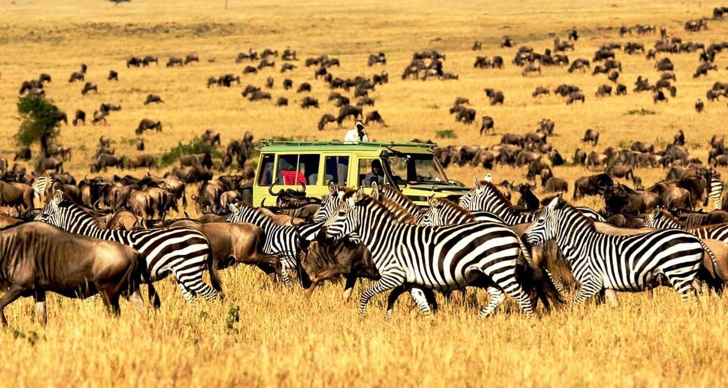 How Much Does an African Safari Cost Tanzania