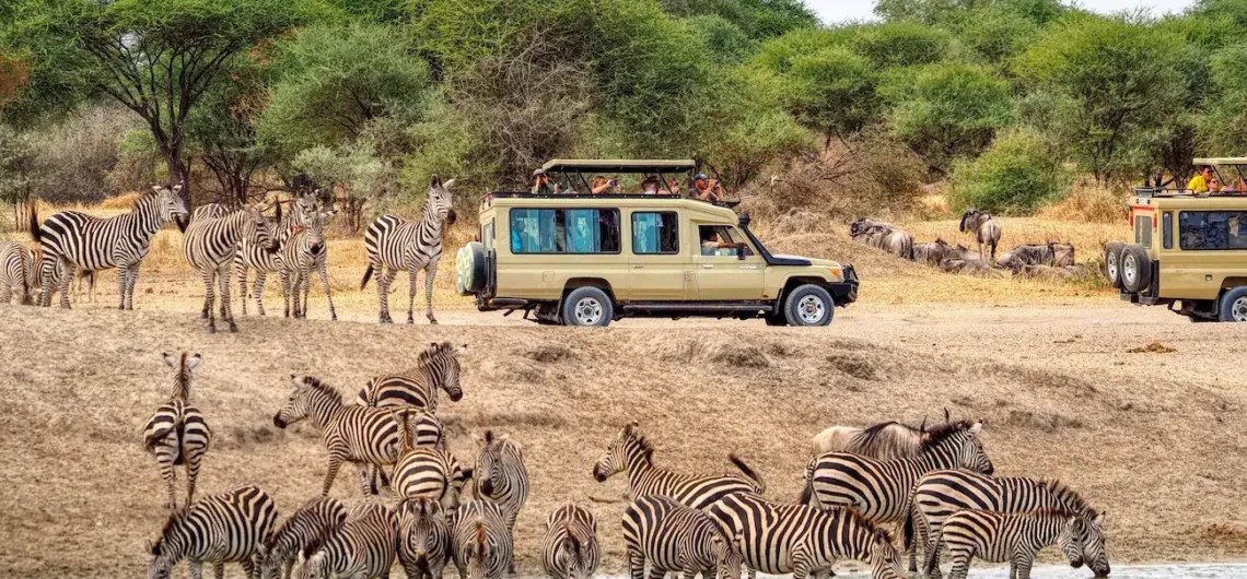 Kenya or Tanzania Which is the Best Safari Destination