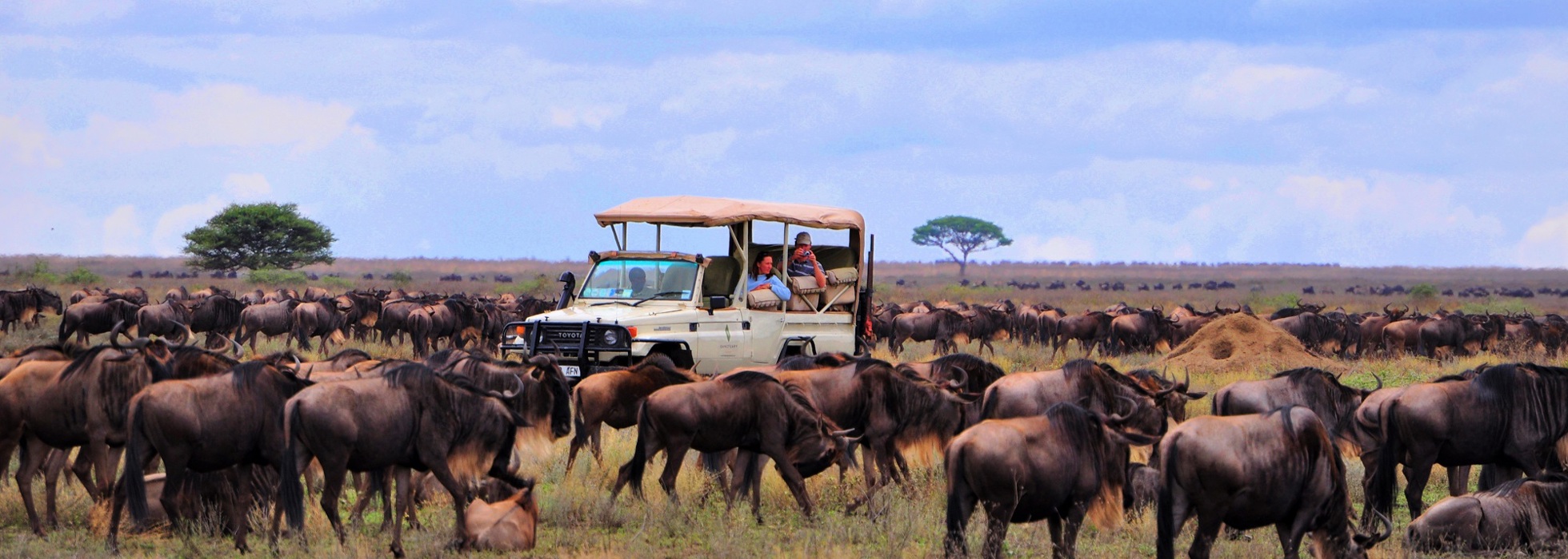 Kenya or Tanzania Which is the Best Safari Destination Africa