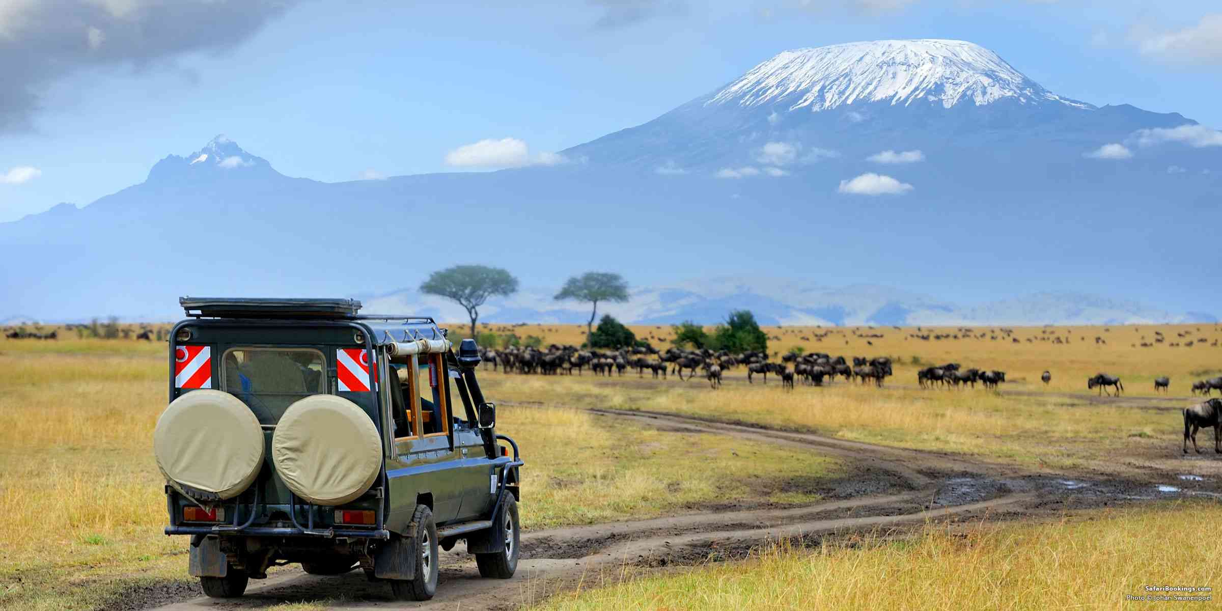 Kenya or Tanzania? Which is the Best Safari Destination?