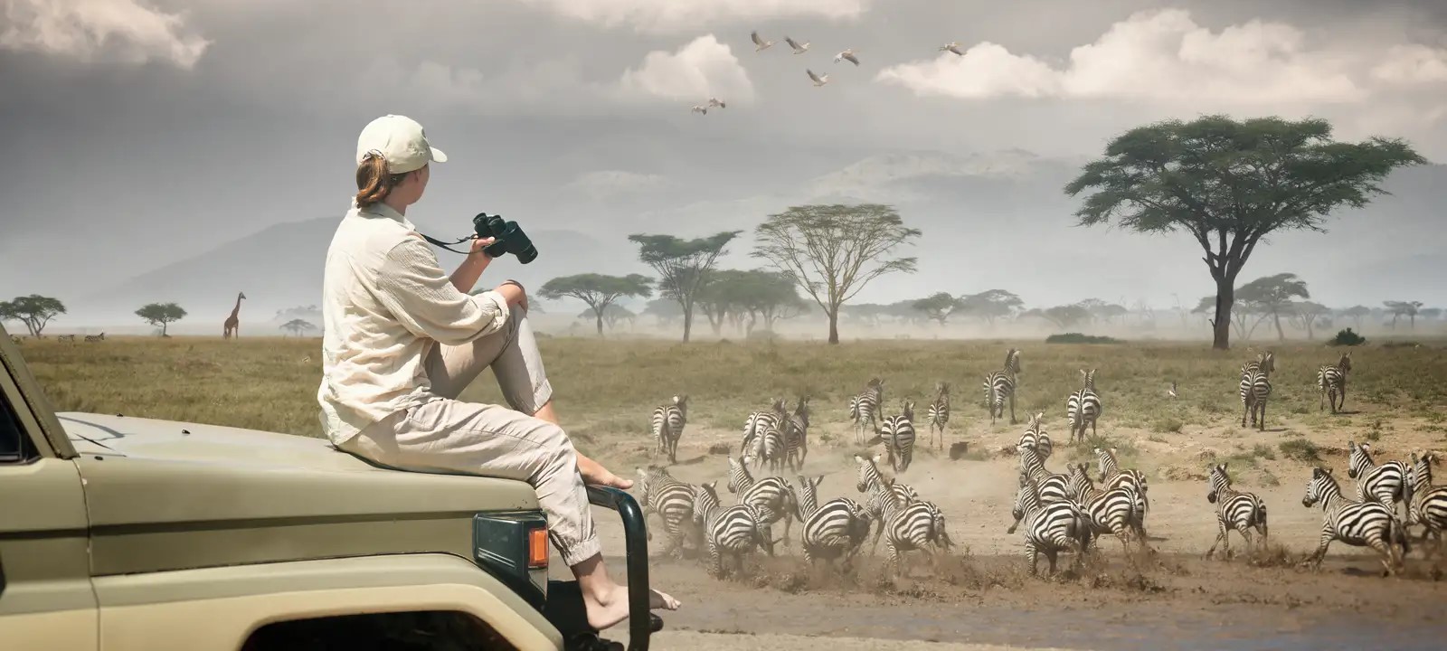 Safaris in Tanzania 2025 Serengeti