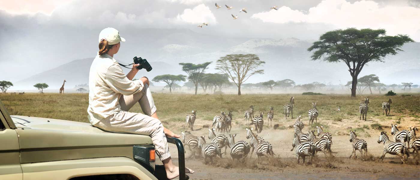 Safaris in Tanzania