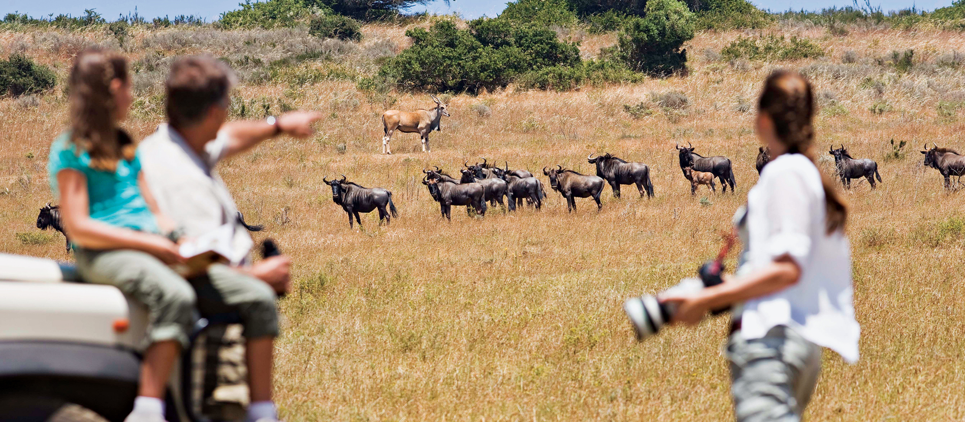 The History of Safari in Tanzania