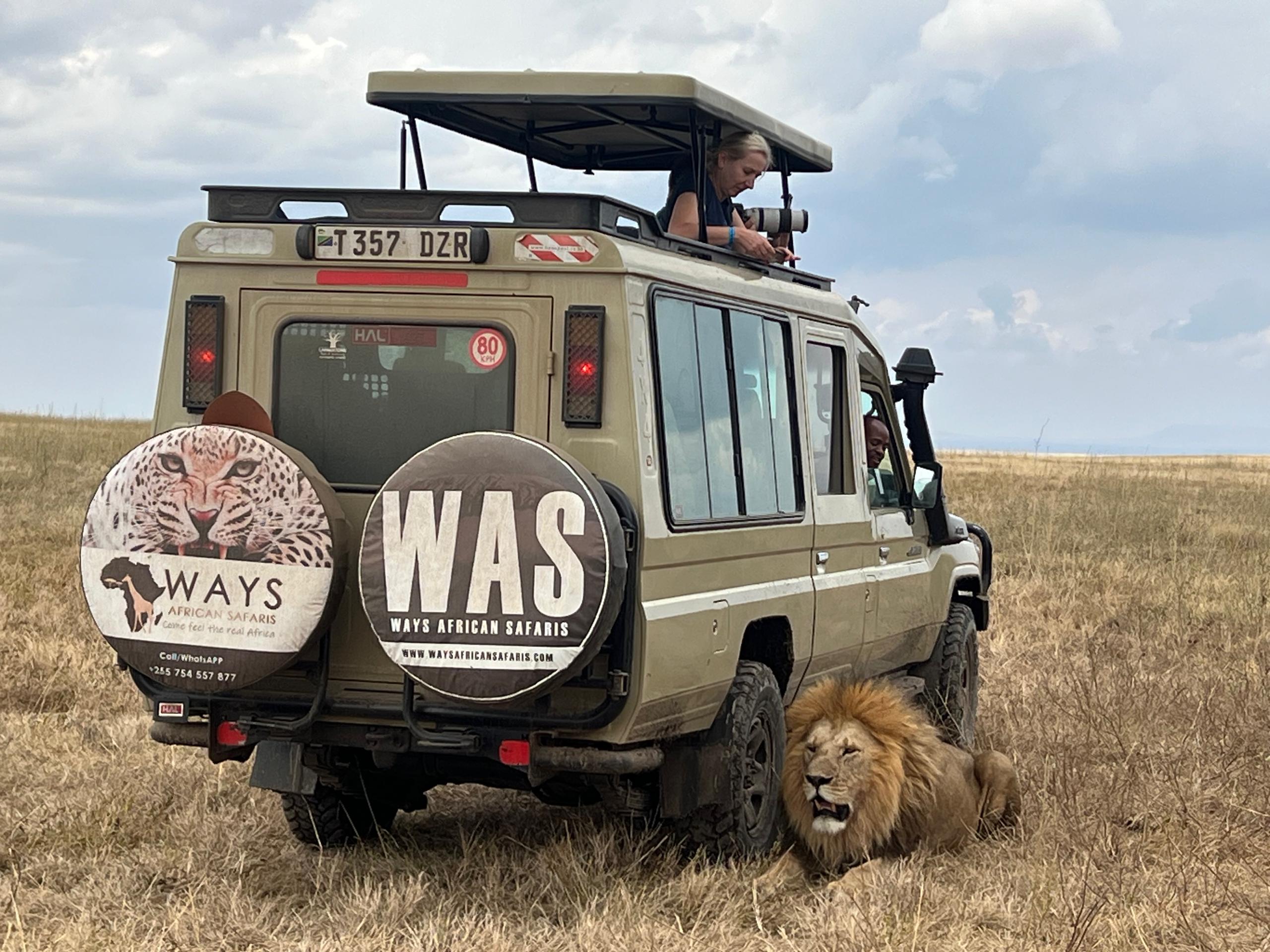 Ways African Tanzania Safari: Unforgettable African Adventures