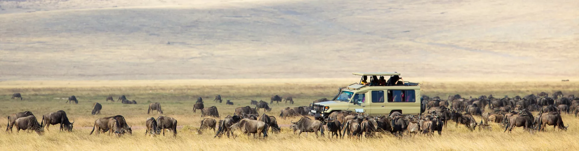 Ways African Tanzania Safari Unforgettable African Adventures