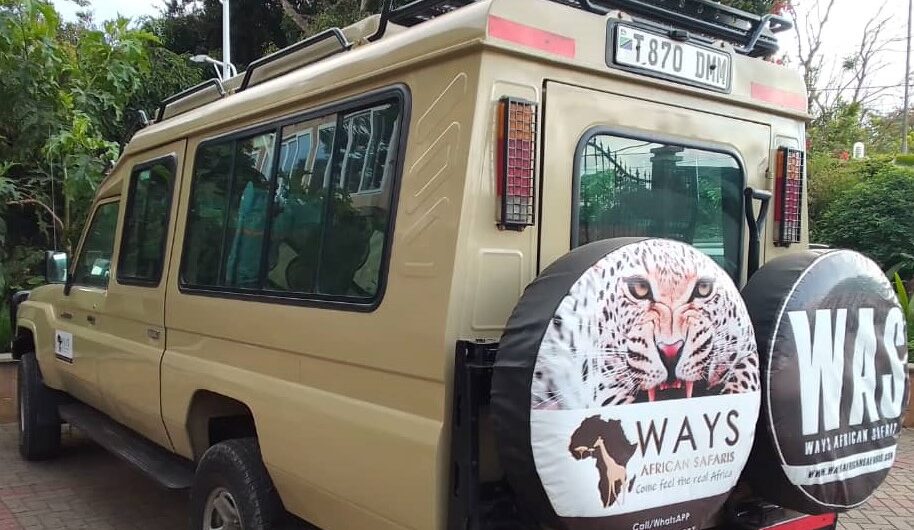 What is the Difference Between a Safari and-a Tour Africa Ways African Safaris