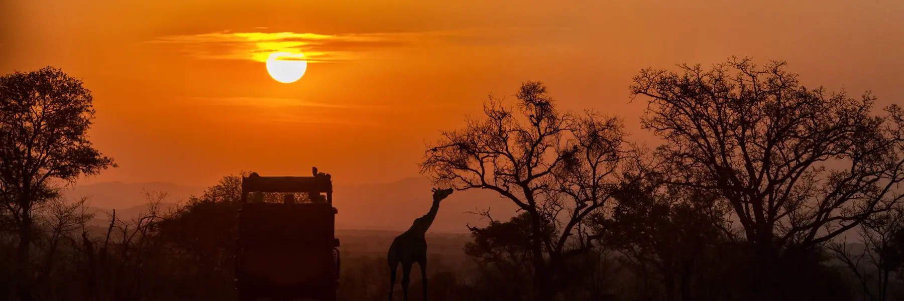 What is the Difference Between a Safari and a Tour Africa Ways African Safaris