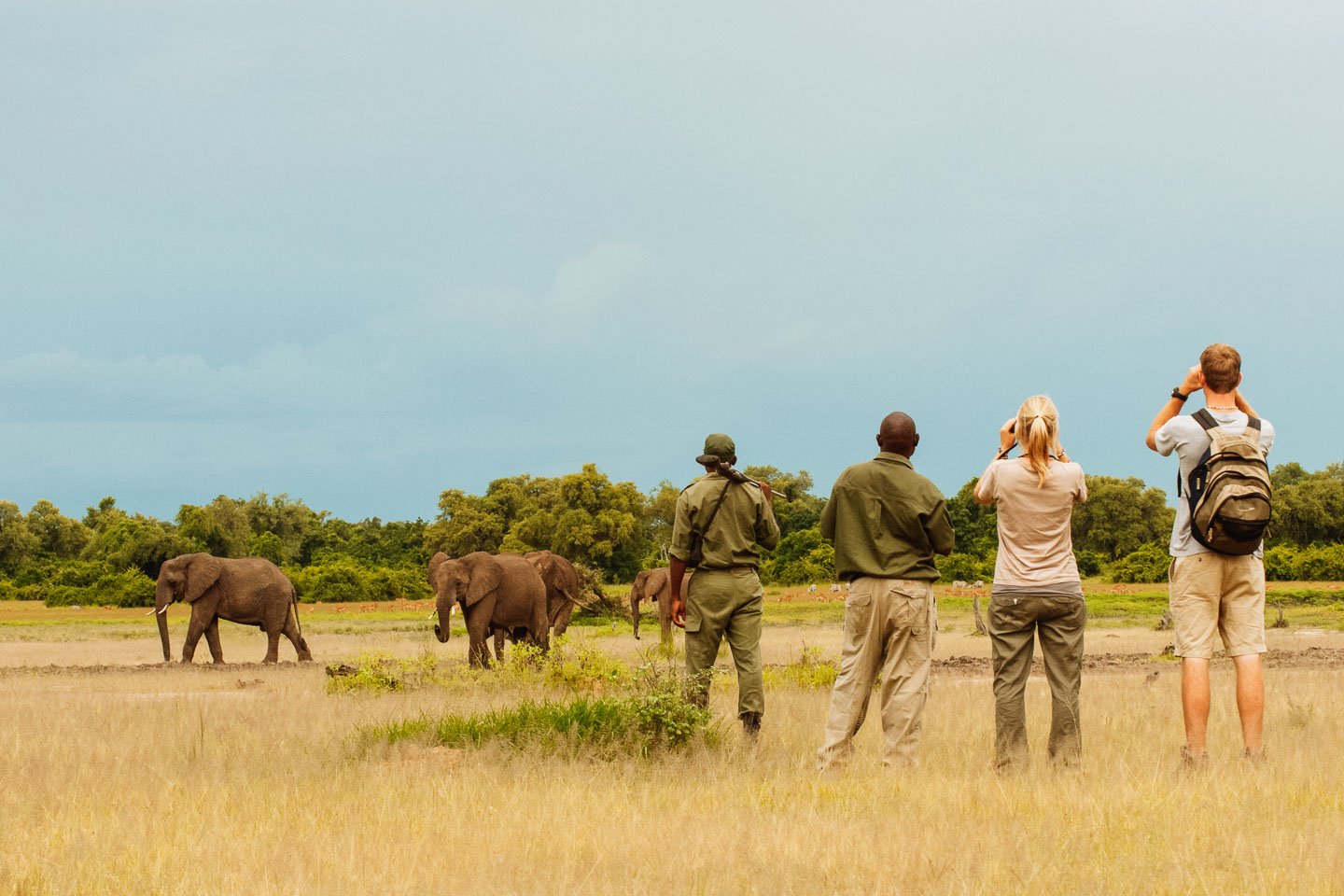 What is the Difference Between a Safari and a Tour Ways African Safaris