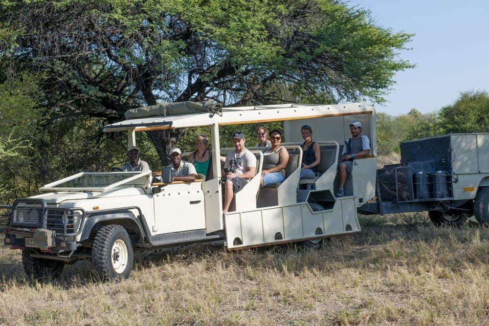 What is the Difference Between a Safari and a Tour