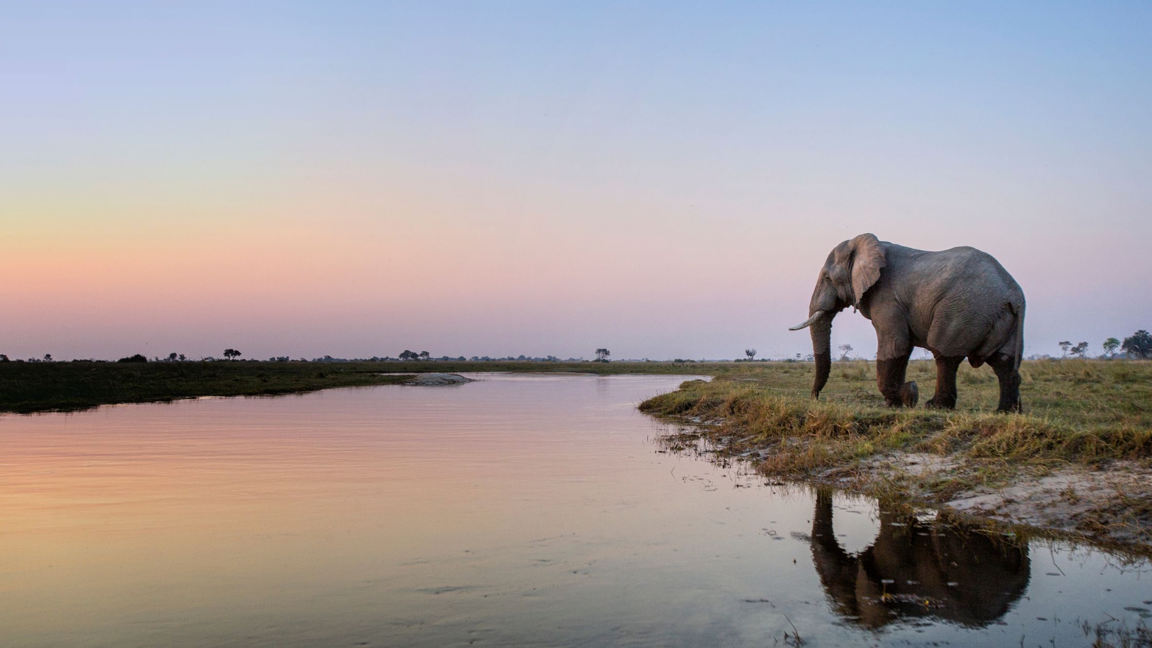 When to Go on an African Safari