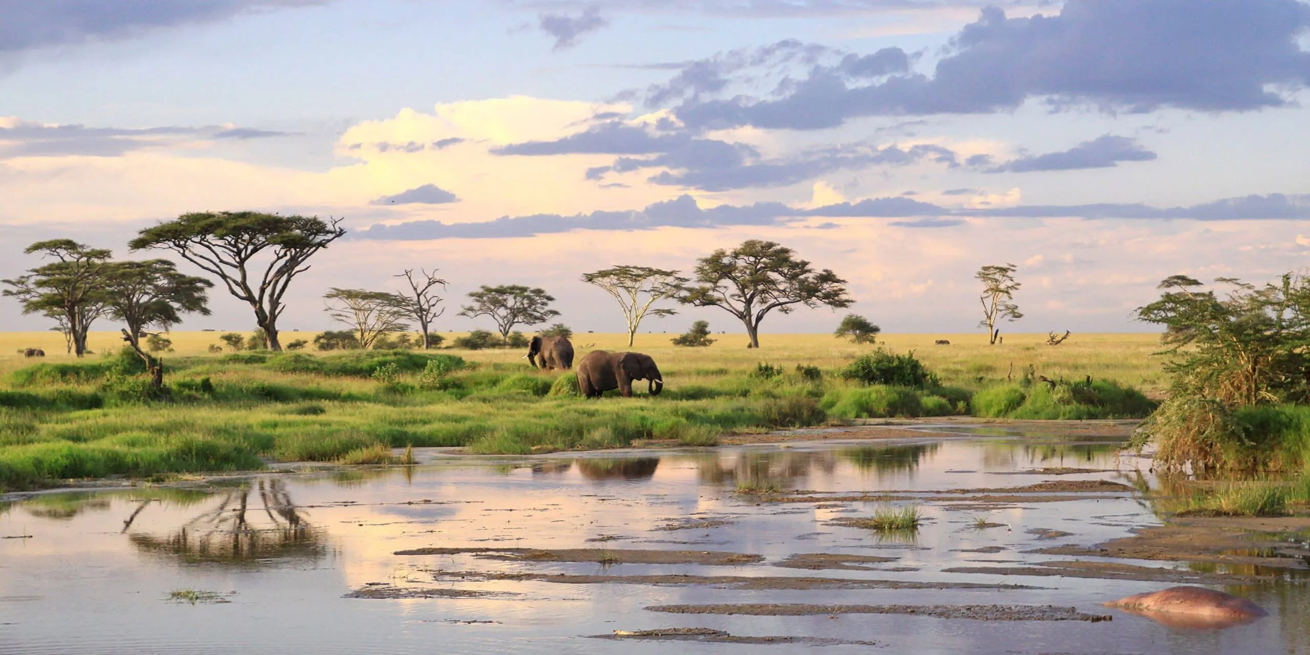 Where to Go on an African Safari