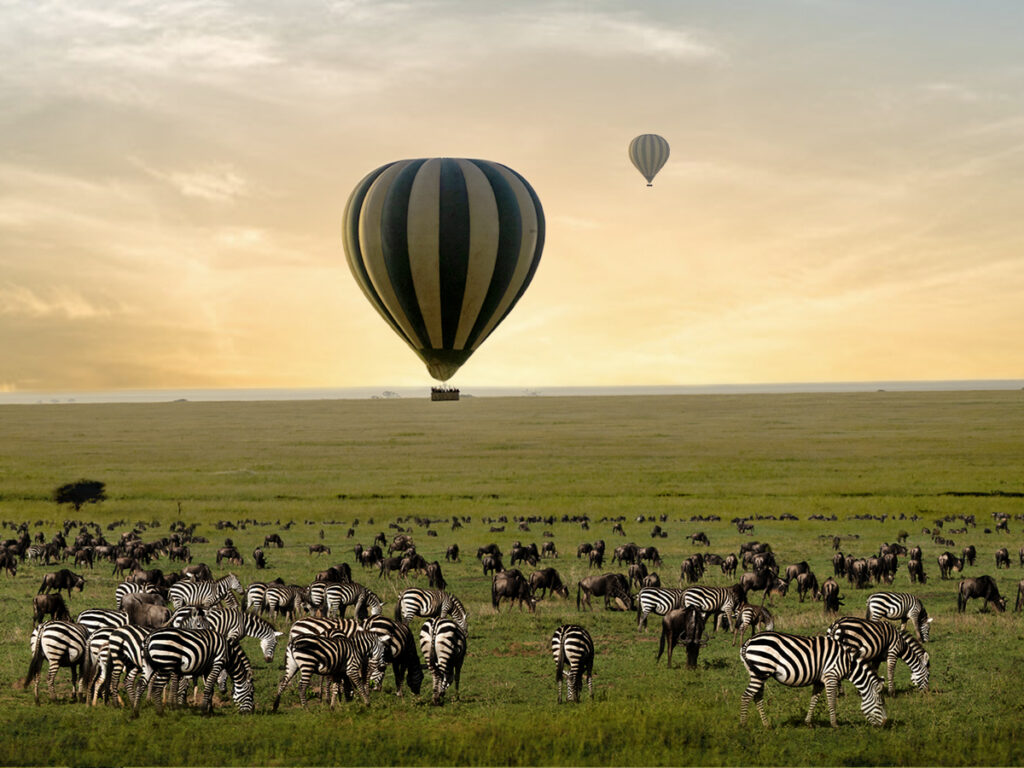 Where to Go on an African Safari Tanzania