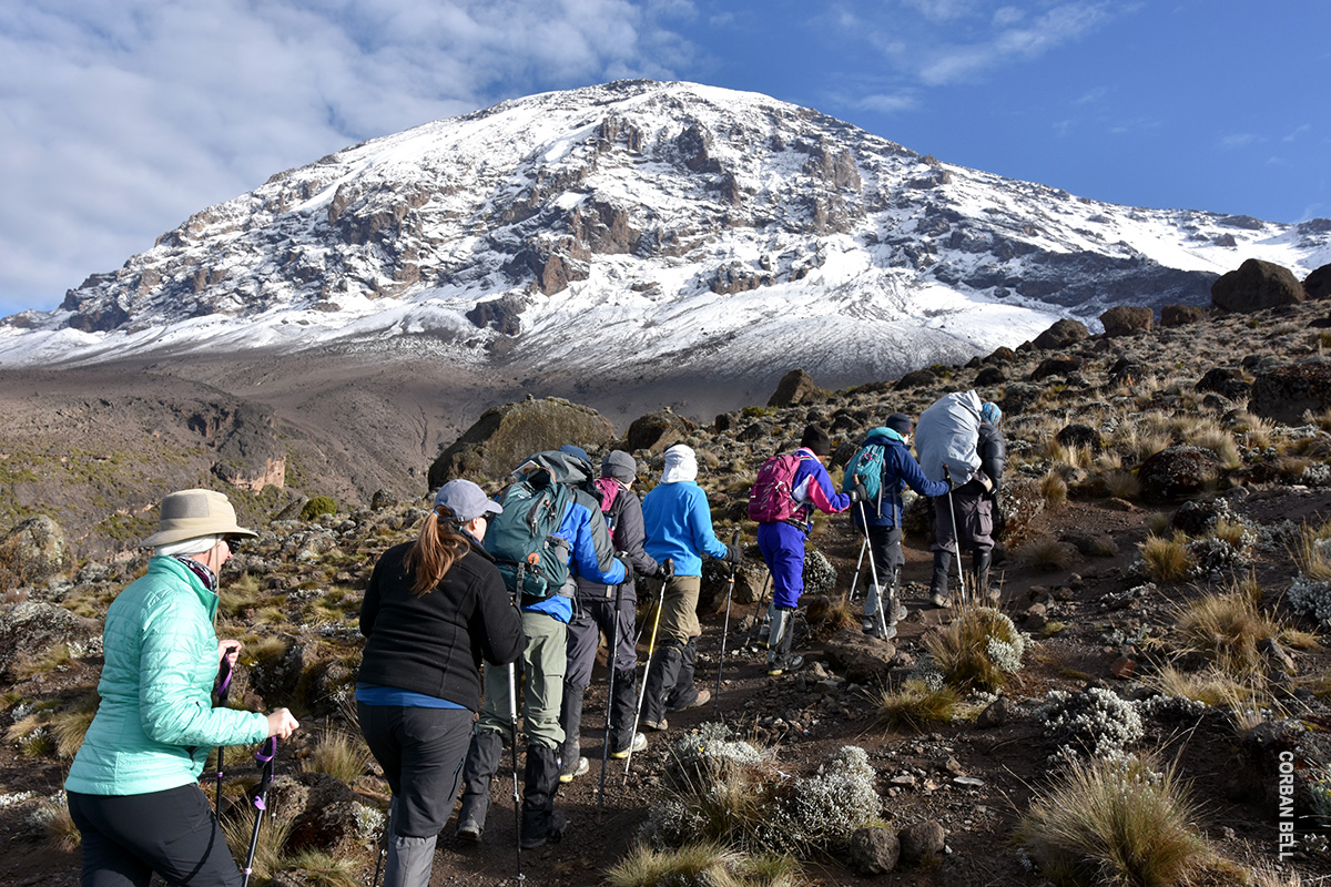 Which African Country is Best for Safaris Kilimanjaro