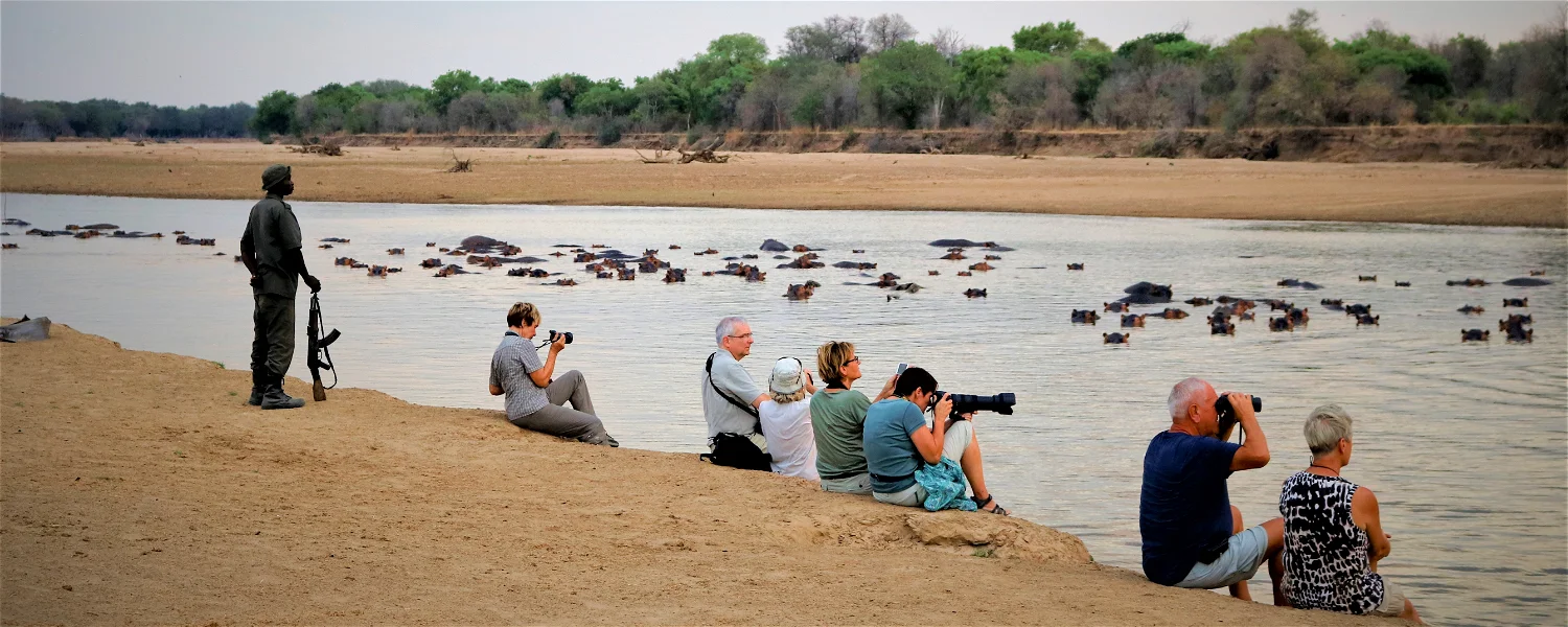 Which African Country is the Safest for a Safari Tanzania